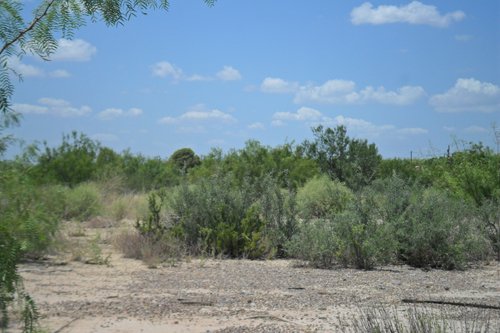 Property photo 27 - Bank Owned Real Estate Auction - McAllen